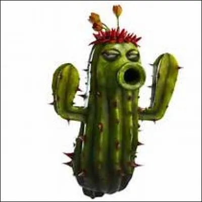 Les Amérindiens mâchent des feuilles de cactus pour avoir des hallucinations.