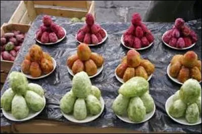 Les fruits de certains cactus sont comestibles.