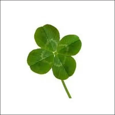 Combien de pays ont participé à la phase finale ?