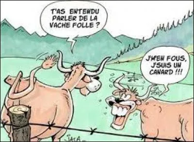 Quel autre nom donne-t-on à la maladie de la vache folle ? (Choisissez l'orthographe exacte)