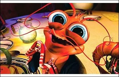 Où le cur d'une crevette est-il situé ?