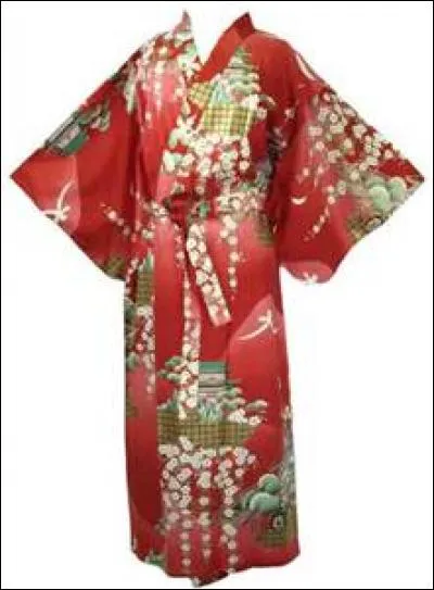 Quel est le nom de ce vêtement ?