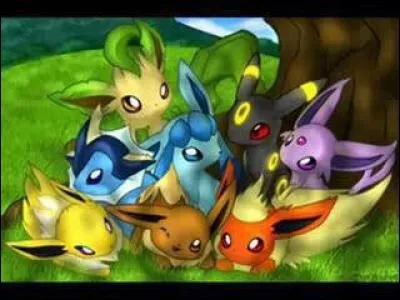 Combien y a-t-il de Pokémon, ici ?