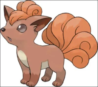 Quelle est l'évolution de ce Pokémon ?