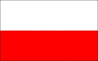 Comment dites-vous un Polonais en anglais ?