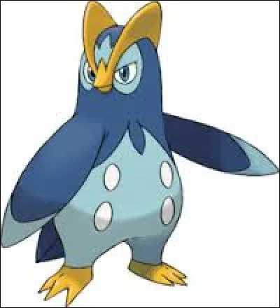 Quel est ce Pokémon ?