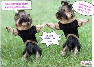 Arrivées en pleurant : jumelles !