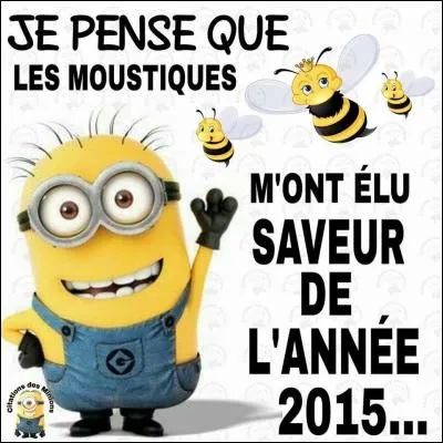 De saveur excellente : bonne !