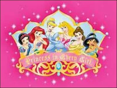 À mes 16 ans, je me pique le doigt et sombre dans un sommeil de 100 ans. Mes amies les 3 fées et bien sûr le baiser de mon prince Philippe parviennent à me réveiller. Qui suis-je ?