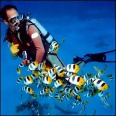 Un scaphandre autonome fut perfectionné par un Jacques !