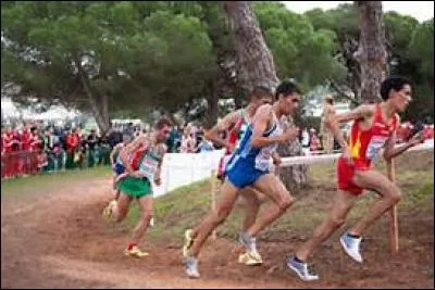 Le cross country existe-t-il ?