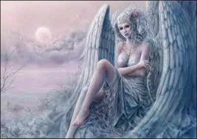 Un bébé poulpe est en danger de mort, que fais-tu ?