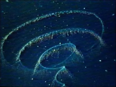 O peut-on trouver ceci ?