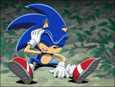 Comment est Sonic ?