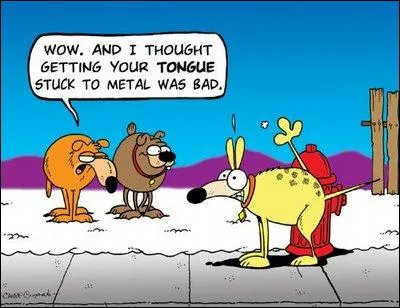 A quelle scène hilarante de film comique cette scène se passant durant le gel fait-elle penser ?