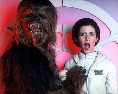 Oh, le wookie est lâché qui se permet un geste déplacé sur ?