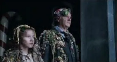 Dans quel domaine M. Salt travaille-t-il ?