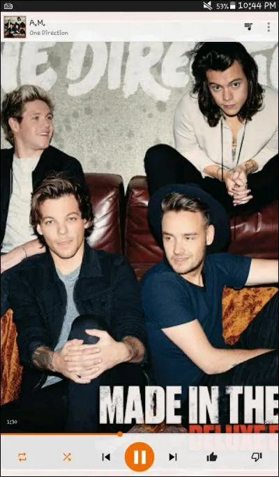 Quels membres des 1D font des batailles d'eau sur scène ?