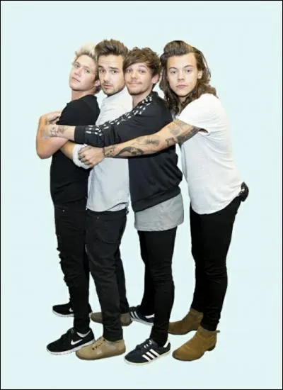 Qui fait de la boxe ?