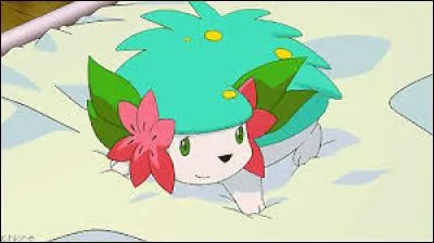 Quelle est la bonne description de ce shaymin ?