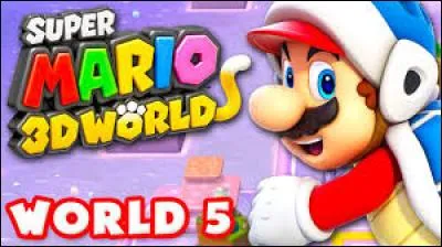 Dans Mario 3D World, on peut jouer avec...