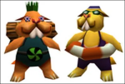 Que gagne-t-on après avoir réussi le défi des castors ?(grande baie)