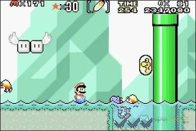 Coment s'appelle le niveau où il y a de l'eau recouvrant le monde normal. (c'est un niveau spécial)