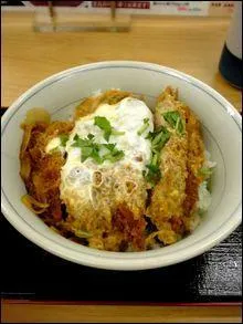De quel pays d'Asie est originaire le "katsudon" ?
