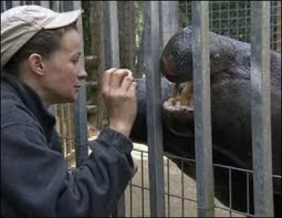 Comment s'appelle le/la soigneur/se secteur éléphants ?