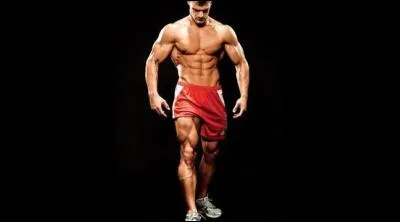 Où se trouve le muscle "soléaire"ou "couturier "?