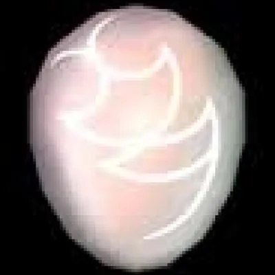 Quels masques faut-il réunir pour obtenir ce masque ?