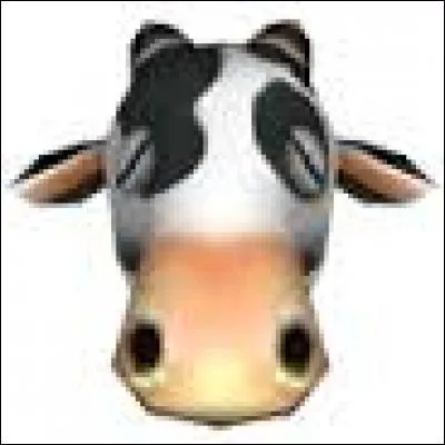 Comment obtient-on ce masque ?