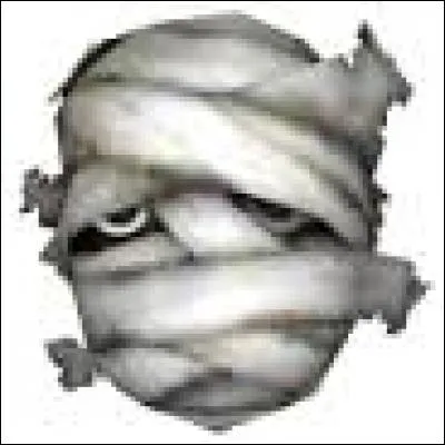 Où trouve-t-on ce masque ?