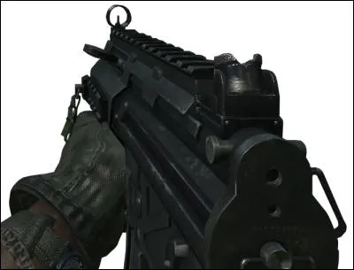 Quelle est l'arme représentée sur la photo ?