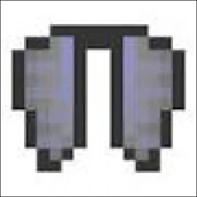 Comment s'appellent les ailes qui permettent de voler dans "Minecraft" ?