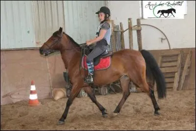 Quel équipement faut-il pour monter à cheval ?