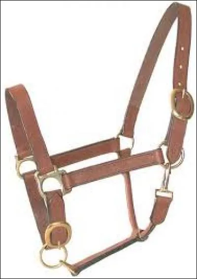 Quelle partie ne fait pas partie du licol ?