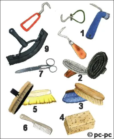 Dans quel ordre fait-on un pansage élémentaire ?