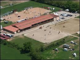 Quiz Galop 1