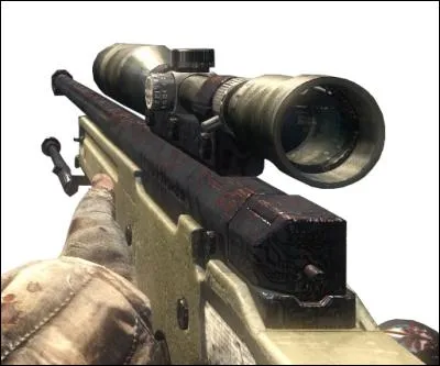 Quel est le nom de cette arme (attention aux détails) ?