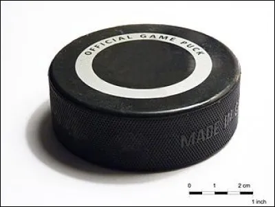 Ce petit cercle de caoutchouc vulcanisé est déplacé à l'aide d'une crosse, car il s'agit d'un palet de hockey sur glace. On le nomme aussi puck ou rondelle. Avant d'avoir cette forme, qu'était-il ?