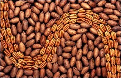 Voici de délicieuses noix de pécan, fruit originaire d'Amérique du Nord. Quelle autre nom portent-elles ?