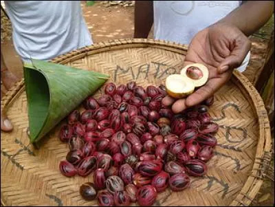 La noix de muscade est le fruit du muscadier, un arbre tropical. L'arille de la noix de muscade (enveloppe charnue) est aussi utilisée, séchée et râpée, en épice et prend le nom de... ?