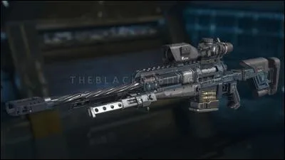 Quelle est cette arme ?