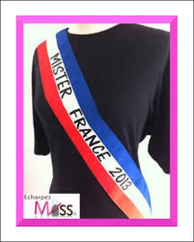 Qui a été élu Mister Secret 2016 ?