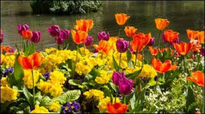 Voici un livre de Charles Baudelaire : "Les ......... du mal"