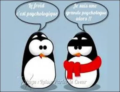 Brr dépêchez-vous de répondre on se "caille" là ! Je commence à avoir beaucoup de "Sang....".