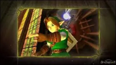 Quand la Triforce s'est brisée, Link a récupéré la Triforce :