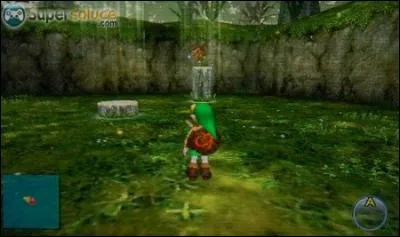 Que devient un Hylien perdu dans les bois perdus ?