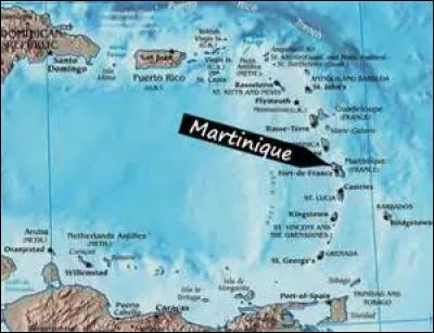 Le bakoua est le nom d'un chapeau et d'un arbre.